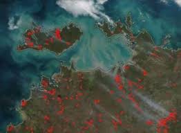 MODIS agricultural monitoring